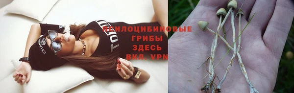 соль курить ск Горнозаводск