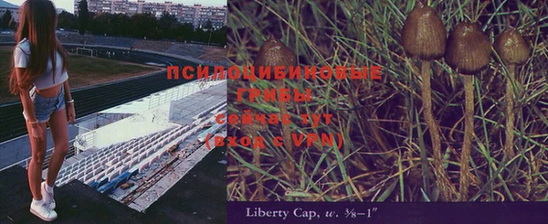 героин Горняк