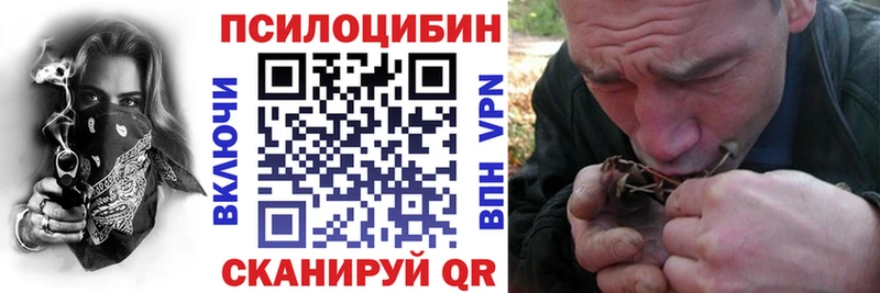 Псилоцибиновые грибы Cubensis  Купить закладки  Приволжск 
