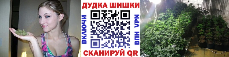Каннабис SATIVA & INDICA  Купить где  Приволжск 